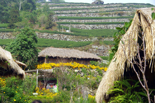 阿里山邹族文化村