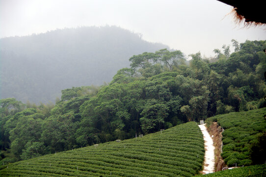 阿里山邹族文化村