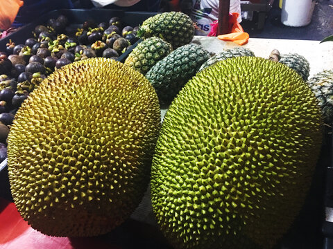 马来西亚菠萝蜜特写