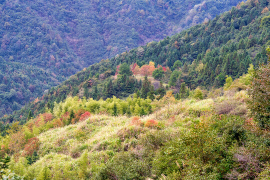 山区秋色