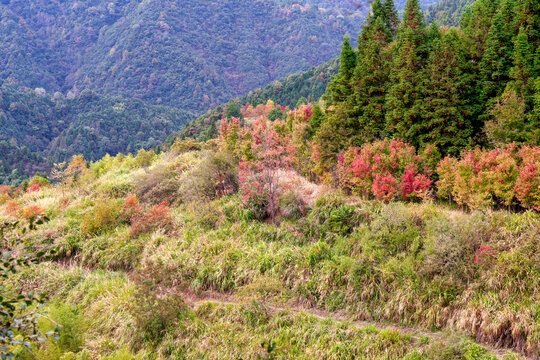 山区秋景