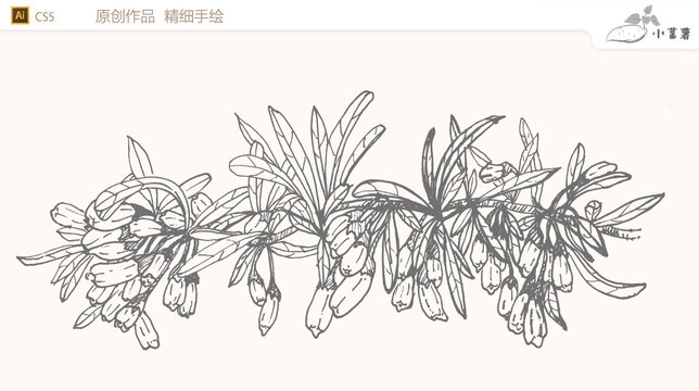 枸杞矢量圖