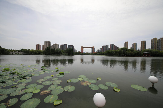 五洲湖风光