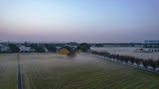 航拍晨雾中的稻田