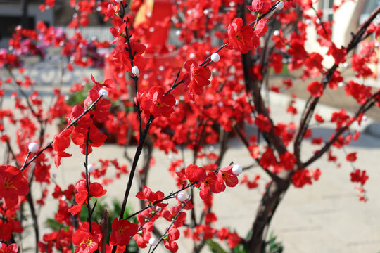 精美花卉