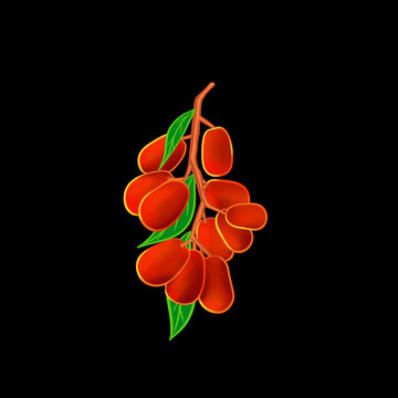 棗