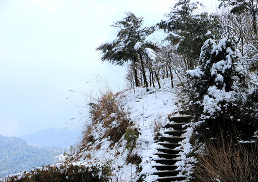 雪景