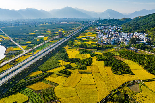 高速公路沿线村庄风景秀美如画