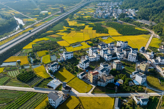 高速公路沿线村庄风景秀美如画