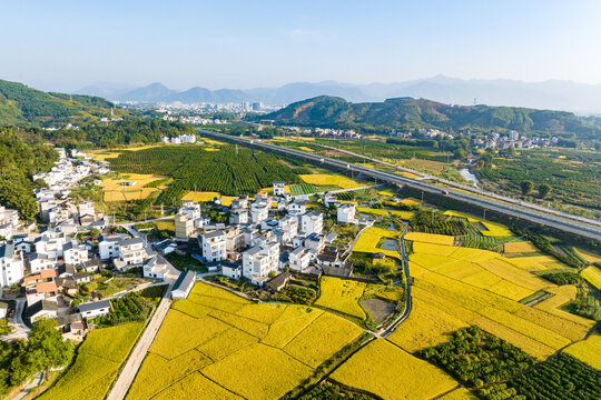 高速公路沿线村庄金秋景色如画