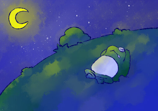 青蛙擬人插畫(huà)夏夜