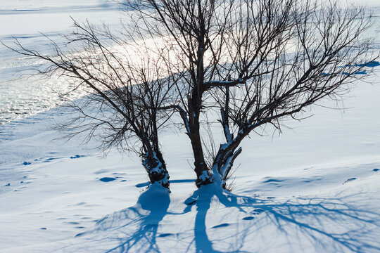 冰雪河流树木