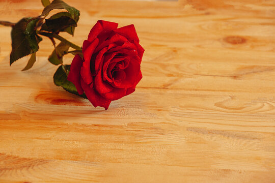 木板上红玫瑰花