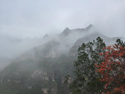 云雾缭绕的山峦