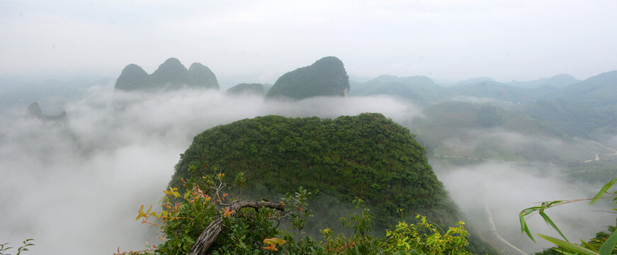 高山云雾