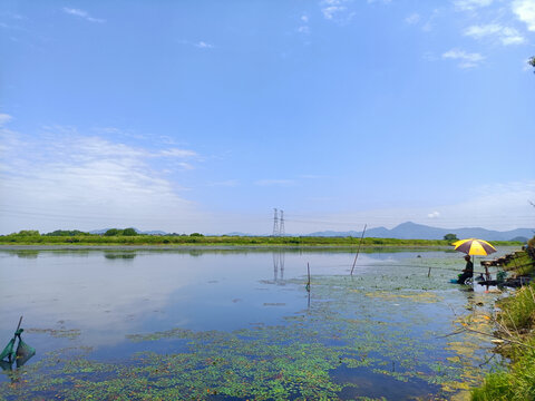 河里钓鱼