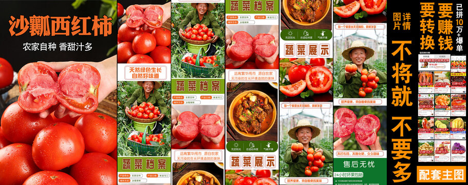 沙瓤西紅柿詳情