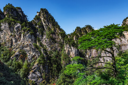 大明山景色