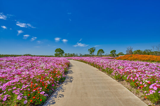 花路