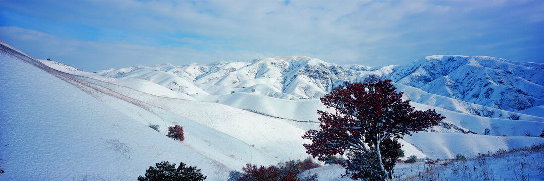 高清宽幅山谷红叶