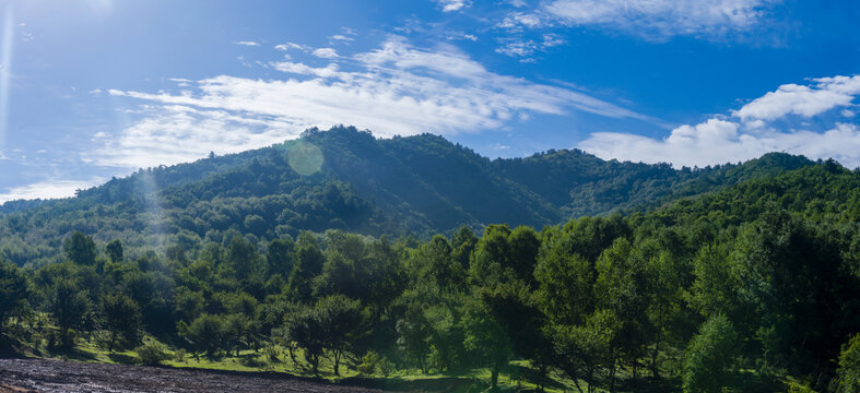 青山