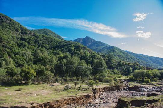 青山