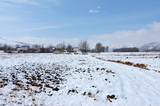 乡村雪霁