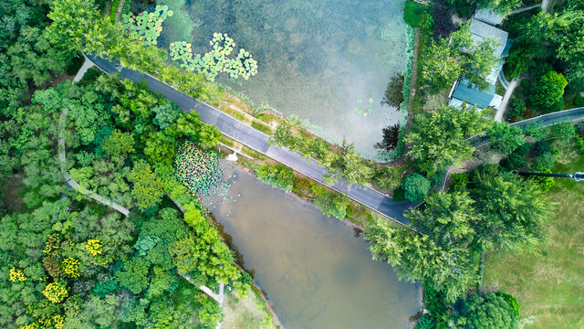 航拍淮安古淮河湿地公园