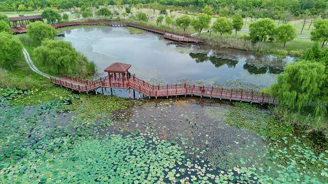 航拍淮安古淮河湿地公园