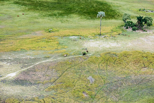 高空鸟瞰非洲大草原摄影