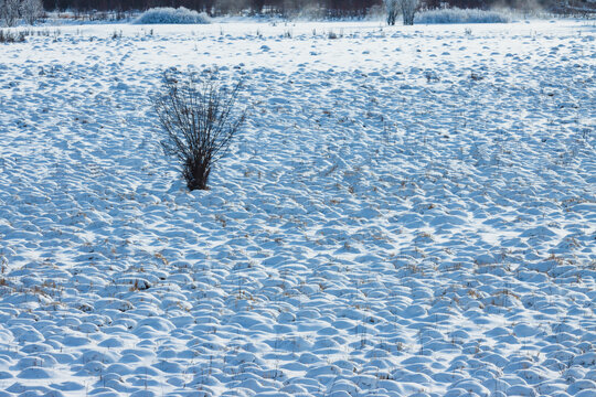 冬季草原雪包雪馒头