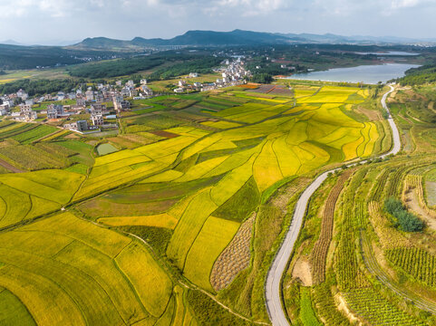 珠江流域湿地