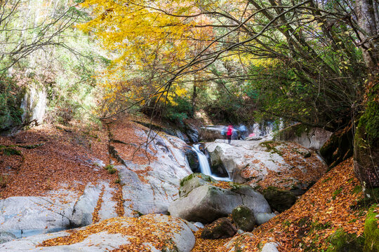 巴中光雾山红叶