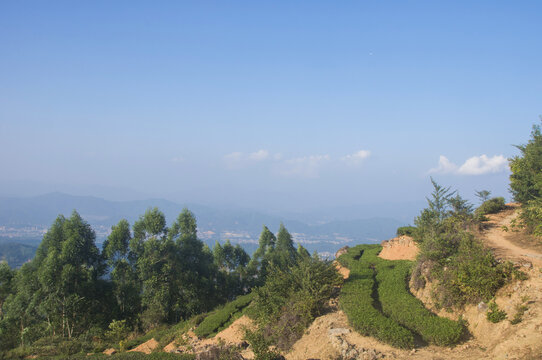 高山山坡风景