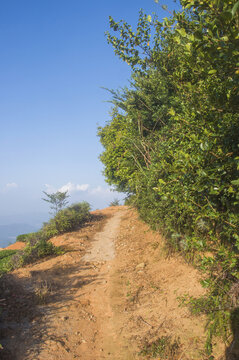 山坡土路小路