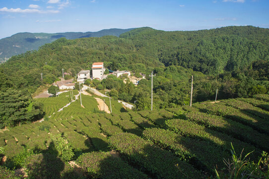 福建泉州罗山林场风景