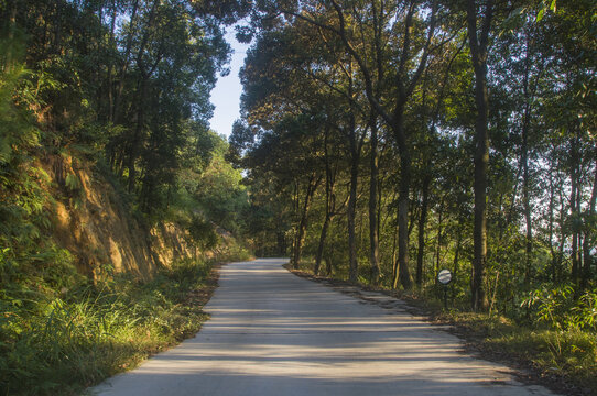 泉州罗山林场林区公路