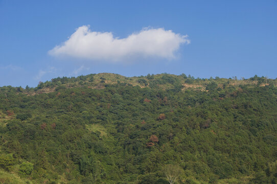 青山山屏障