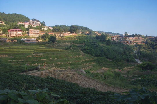 观山村田园家园