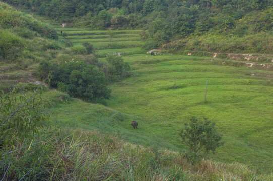 观山村山谷田园风情