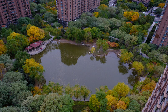 小区秋景鸟瞰