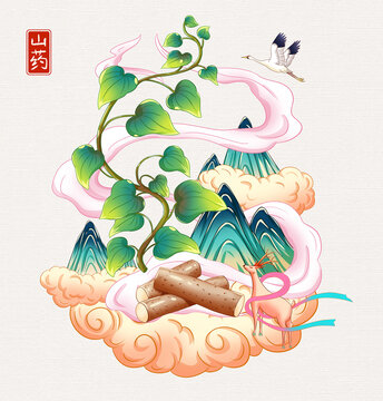 山药手绘插画