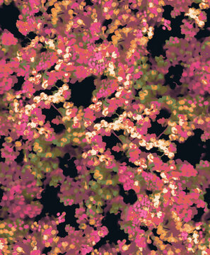 黑底報(bào)春花