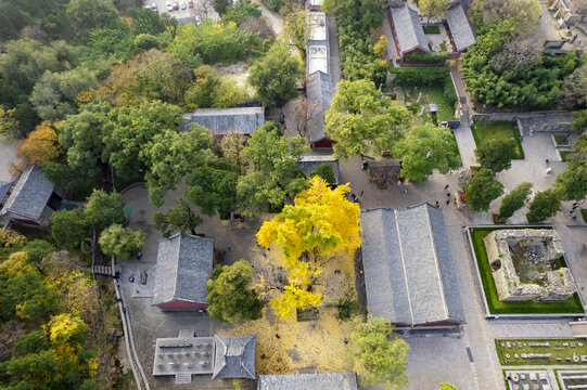 灵岩寺秋色