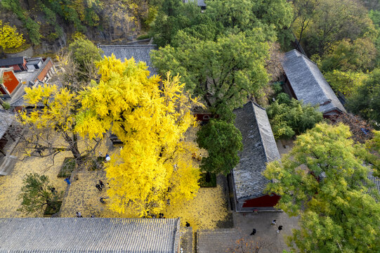 灵岩寺秋色如画