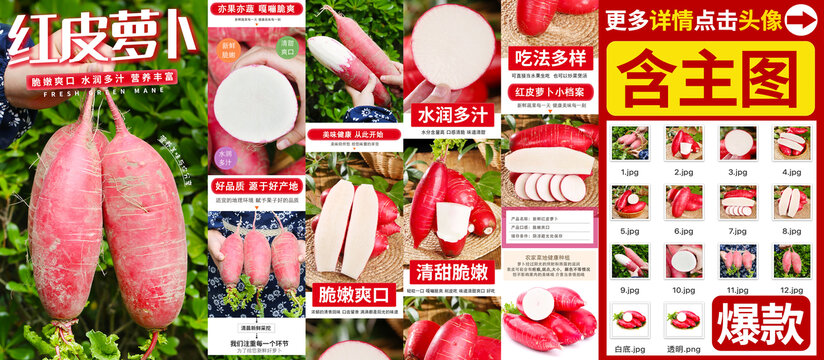 紅皮蘿卜詳情