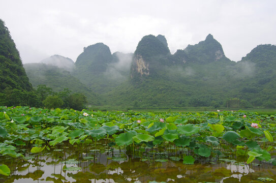 乡村农业荷塘青山绿色风景