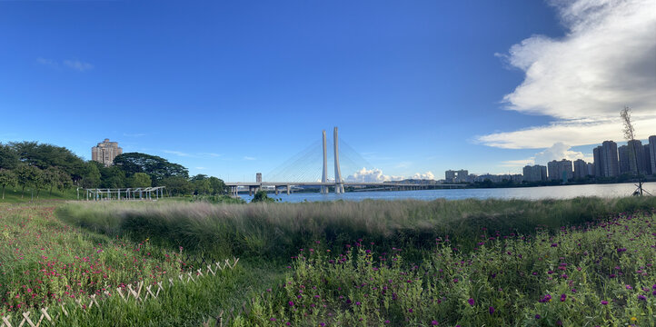 高端房地产江景房背景