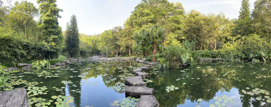 人工湖全景