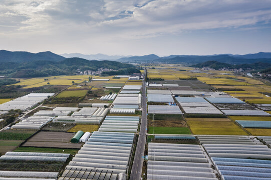 航拍浙江上虞张村秋日田园风光